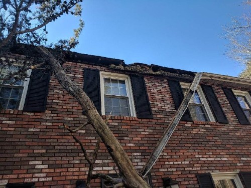 Tree fallen due to a strom causeing damage to the gutter and roof of home